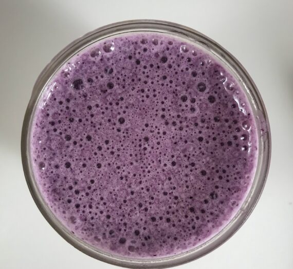 Yummy Low Sugar, High Protein Blueberry Smoothie